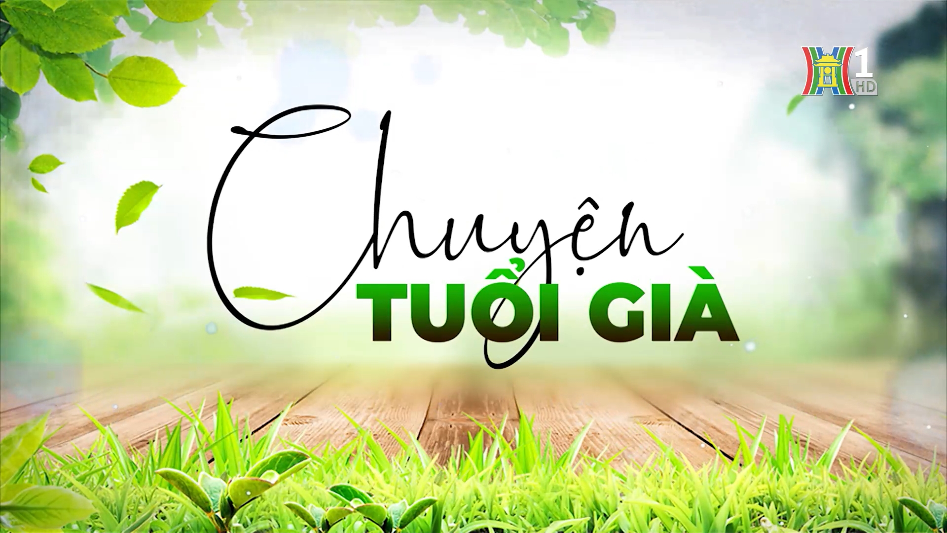 Viêm bờ mi ở người cao tuổi | Chuyện tuổi già | 27/05/2025